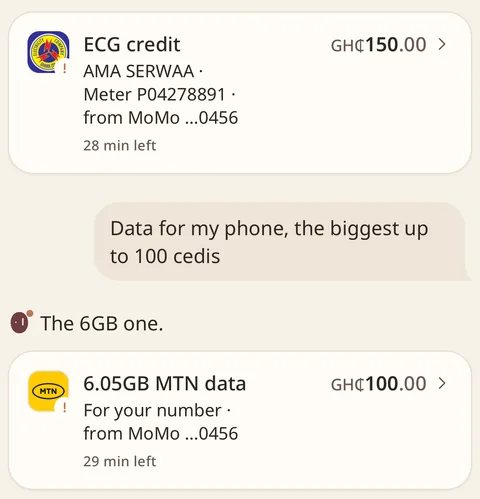 Chale’s iPhone app showing ECG credit and MTN data cards awaiting approval in a chat.
